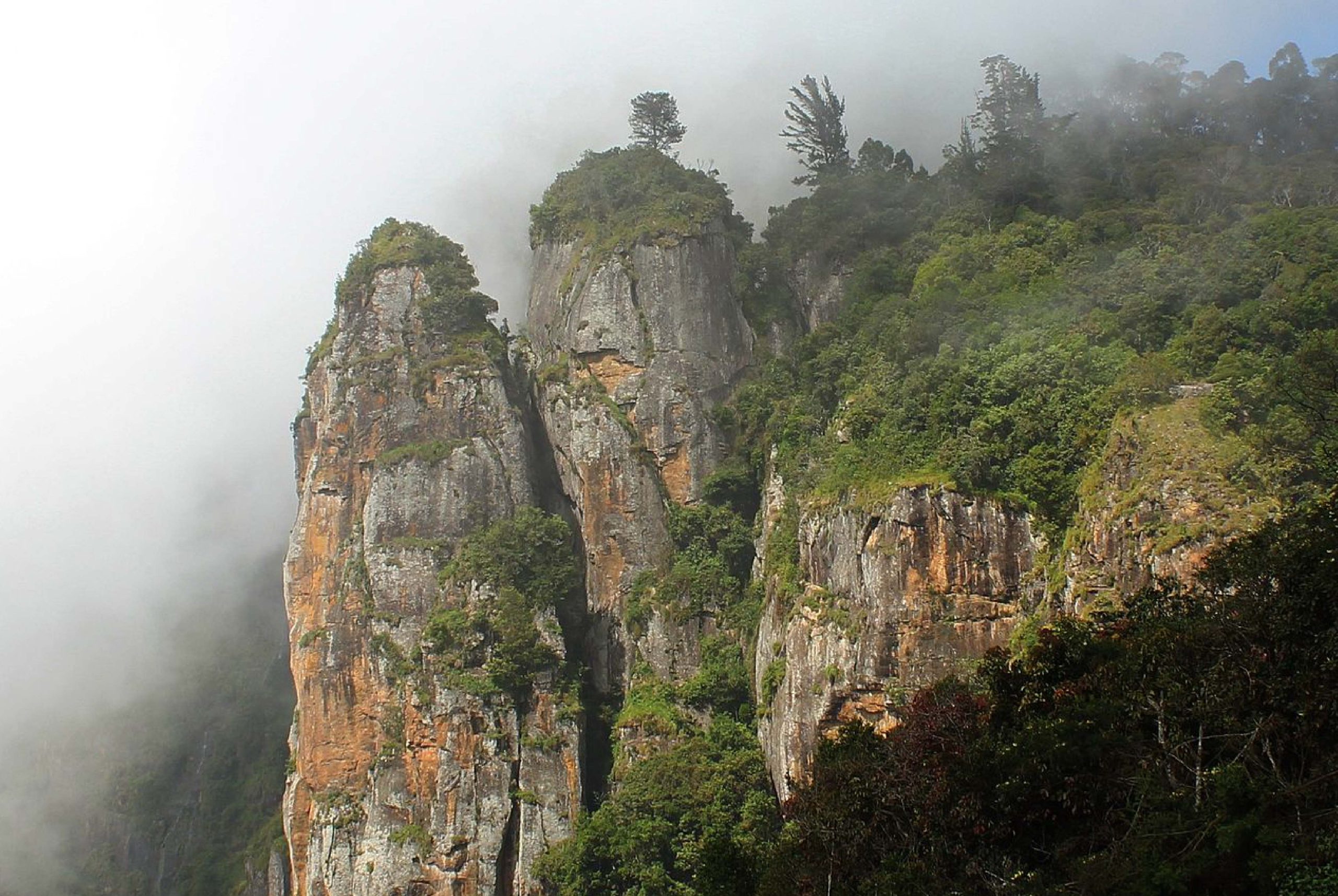 resorts in kodaikanal with valley view