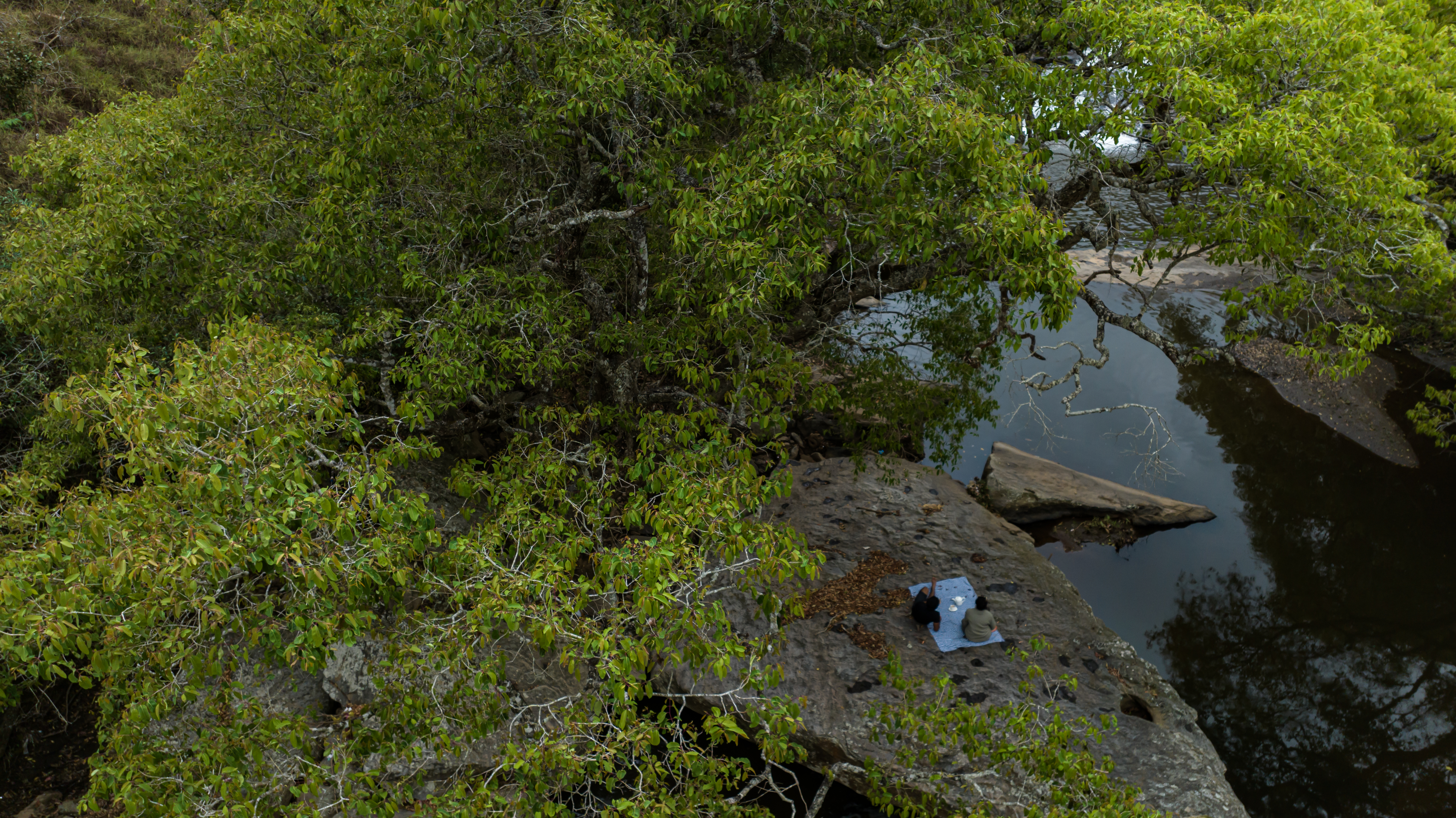 bespoke private resorts in kodaikanal