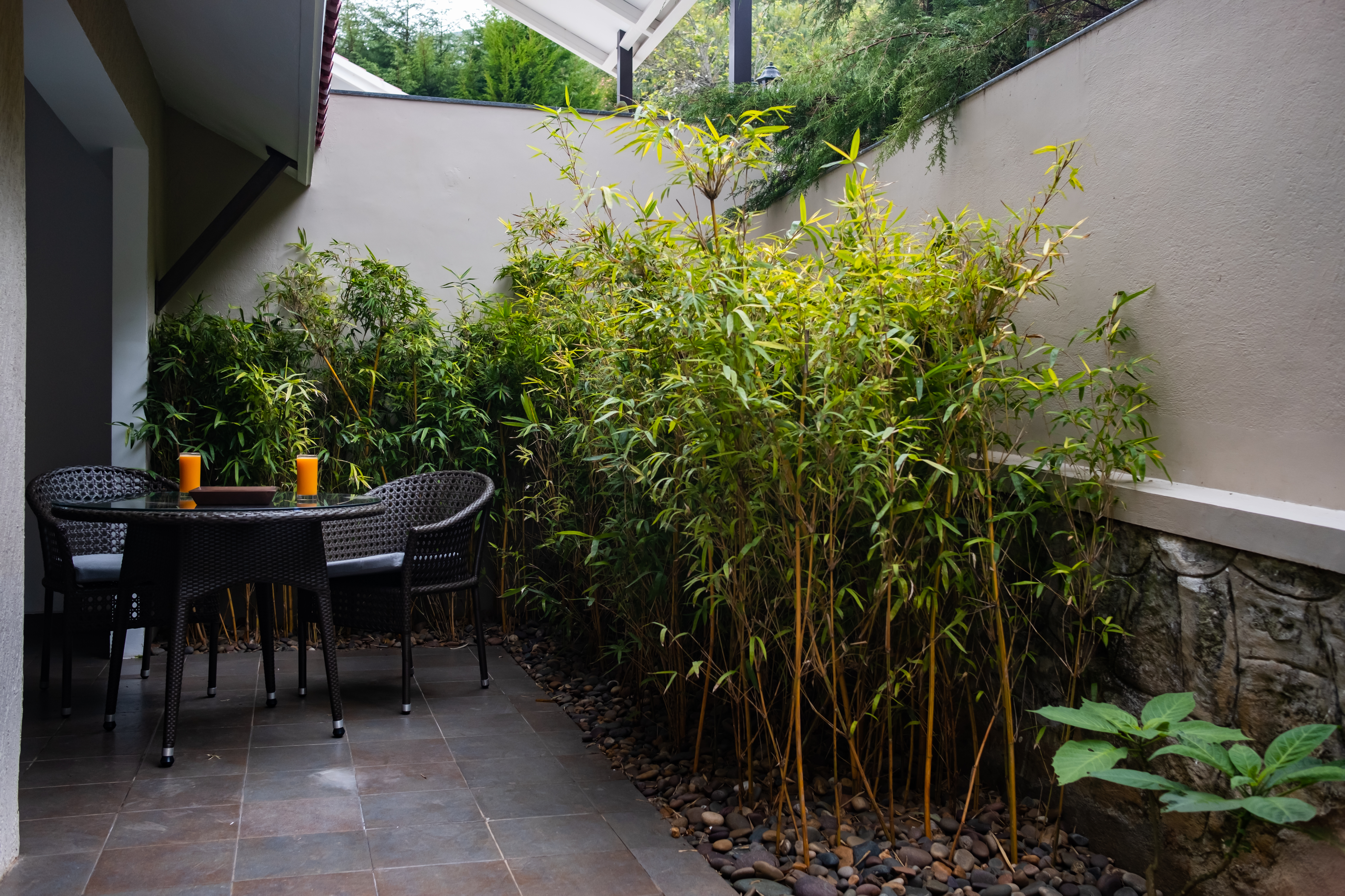 bespoke private resorts in kodaikanal