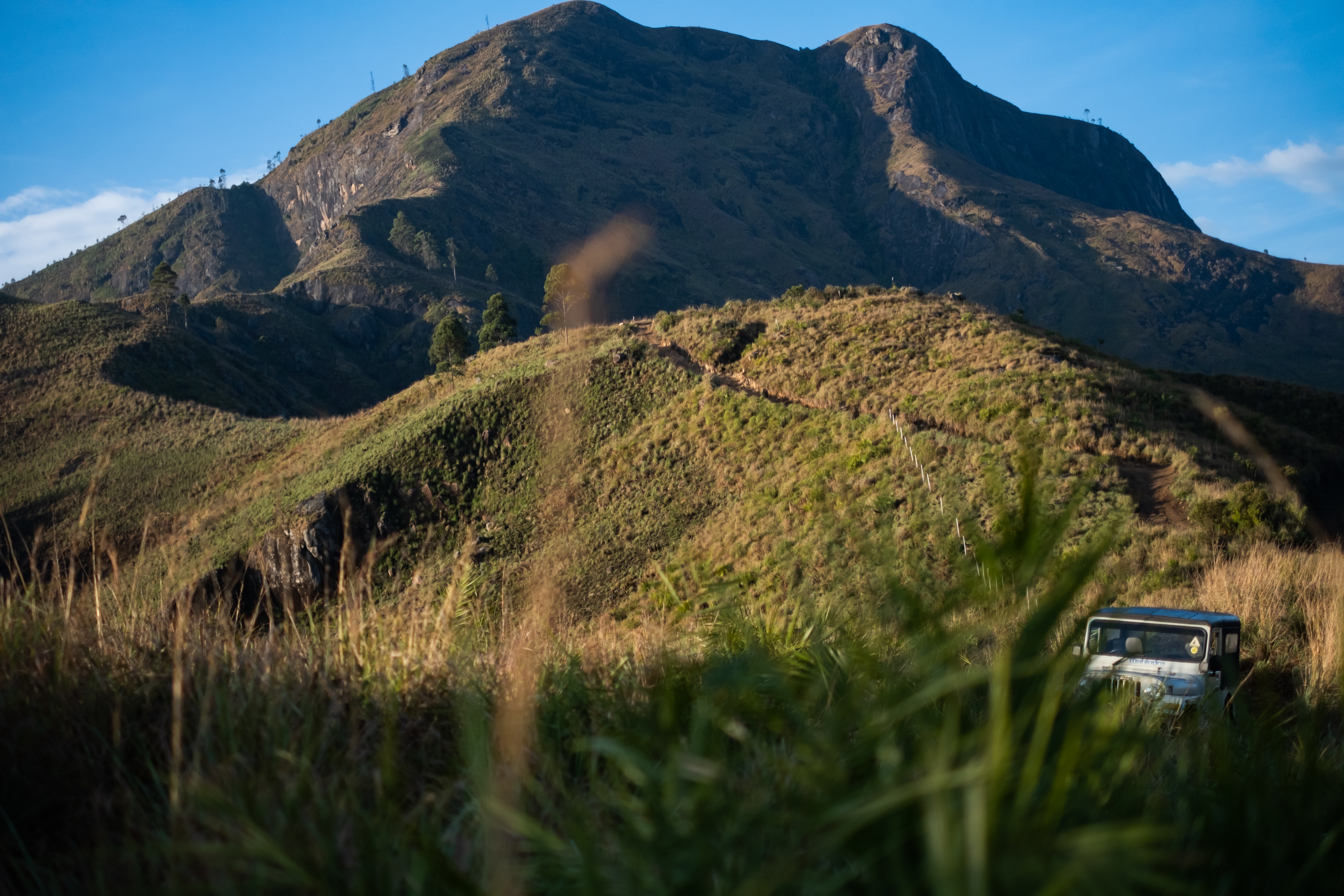 premium resorts in kodaikanal