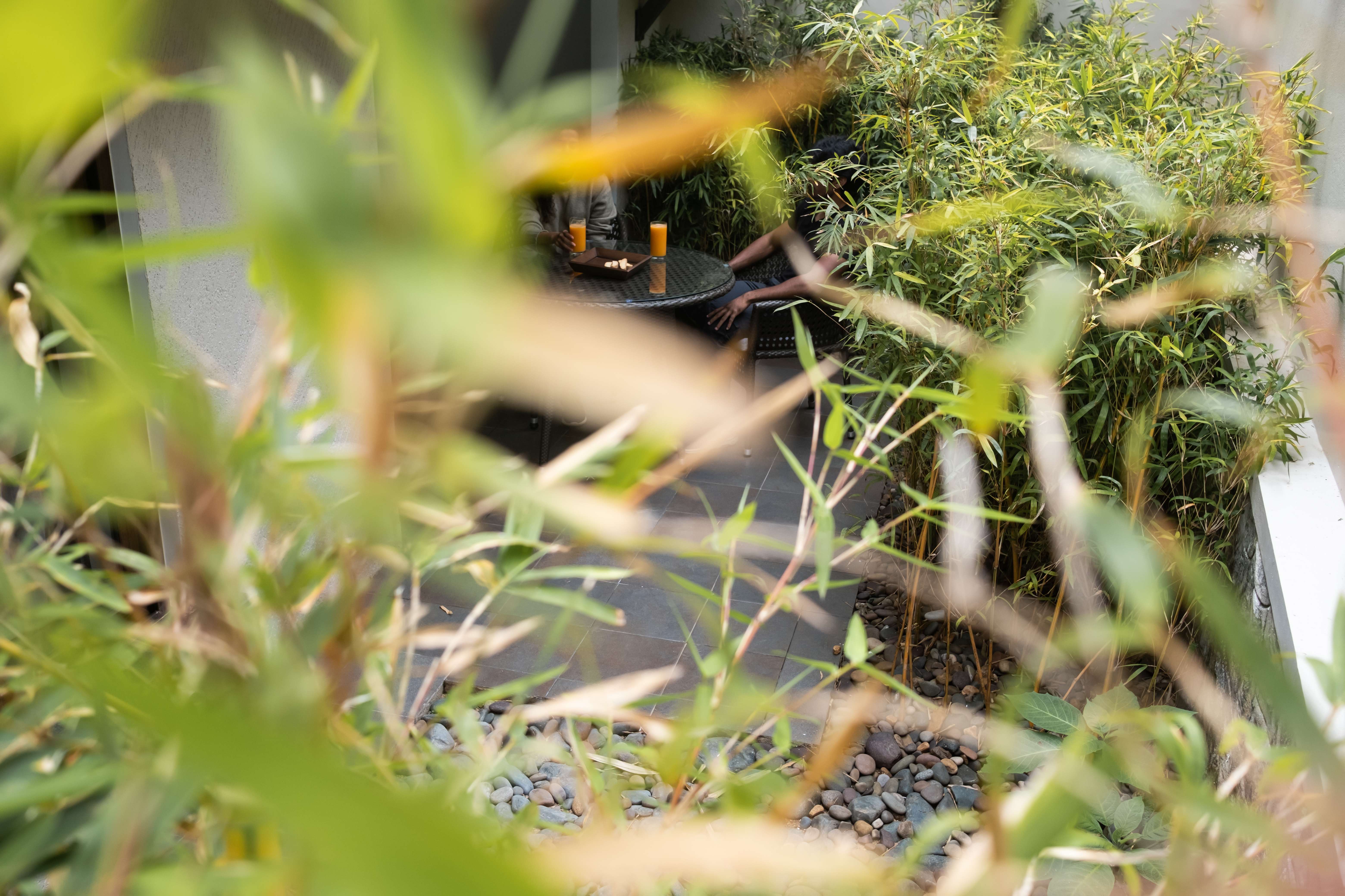 best resorts in kodaikanal for couples