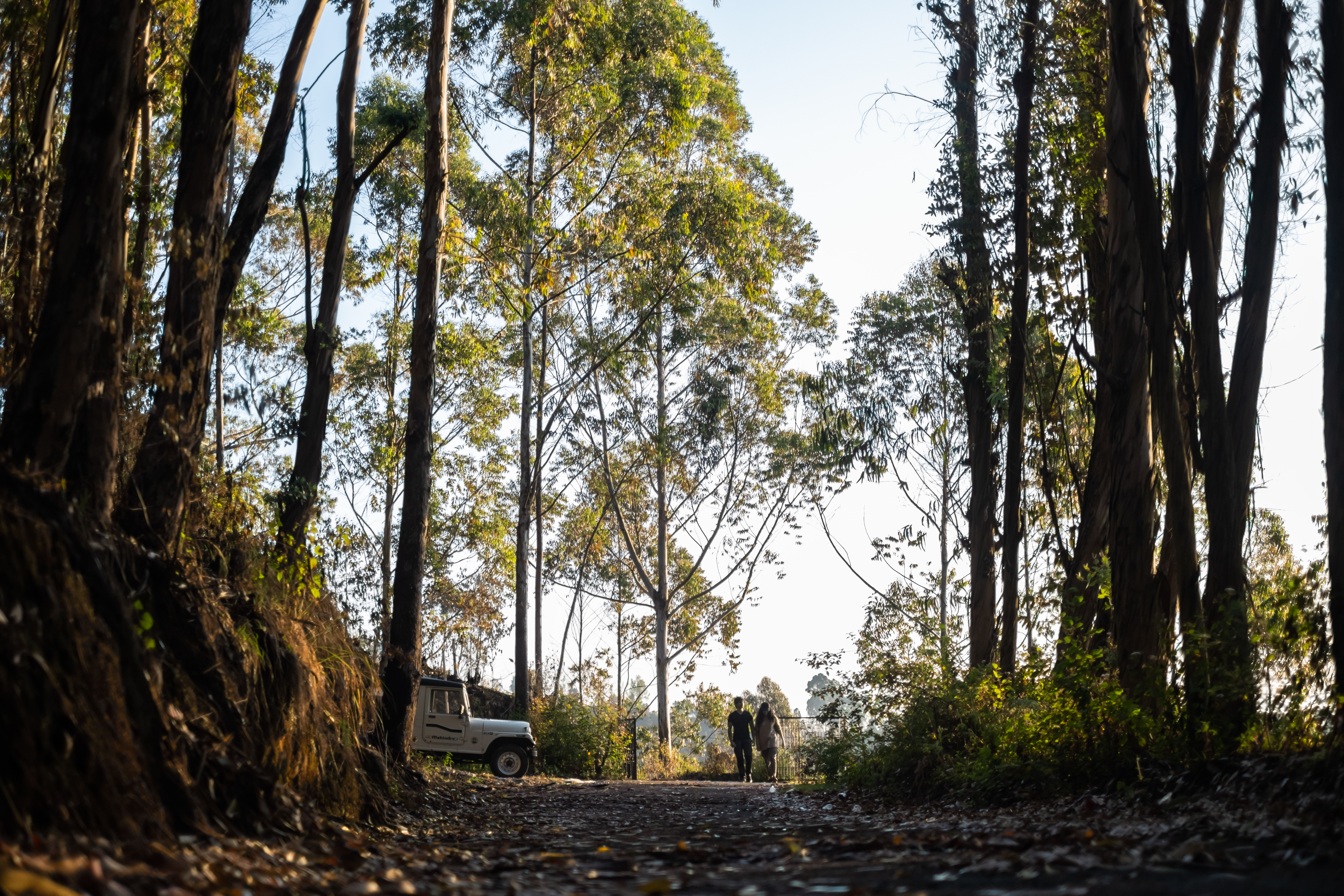 best resorts in kodaikanal for couples