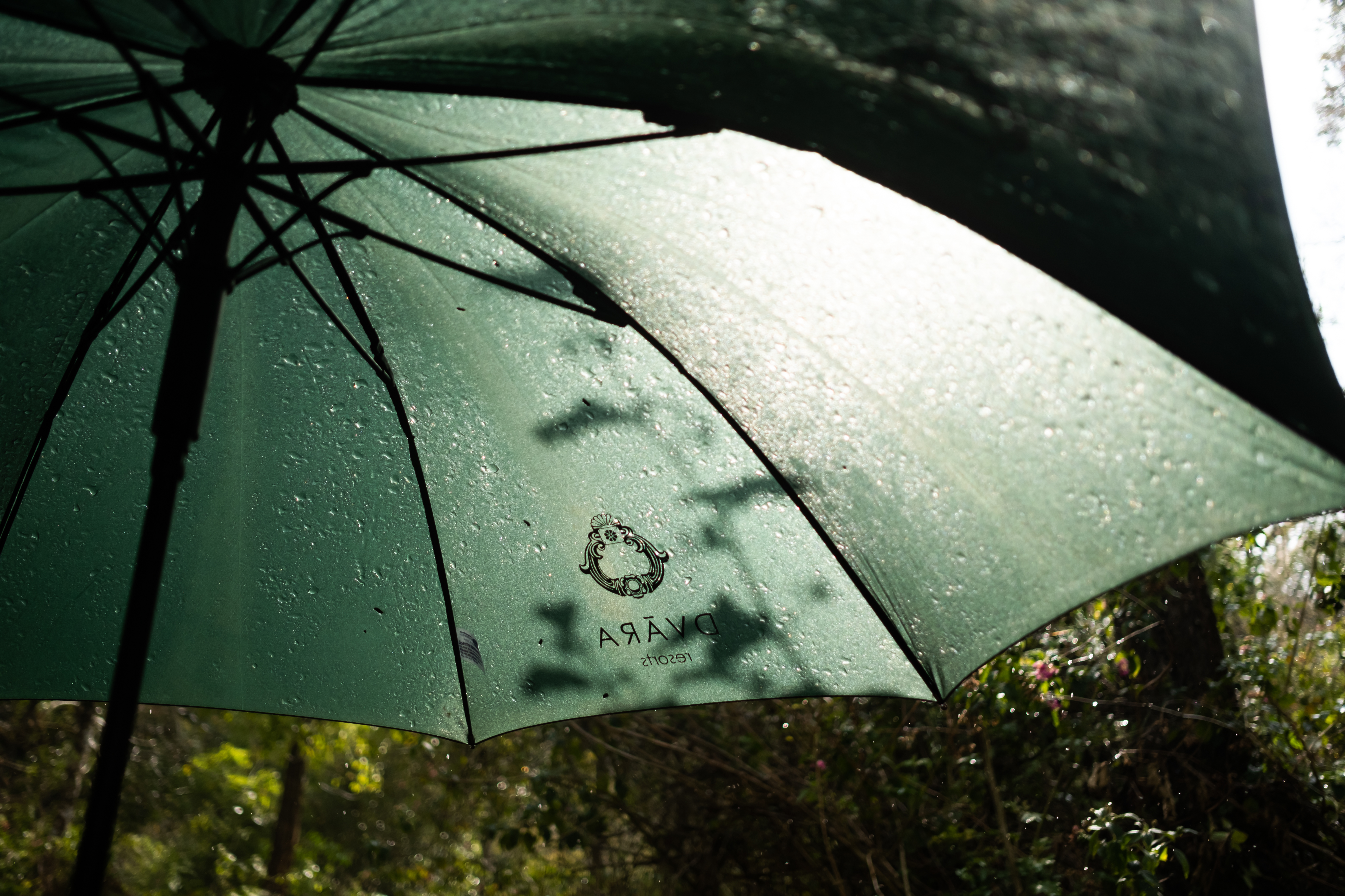 bespoke private resorts in kodaikanal