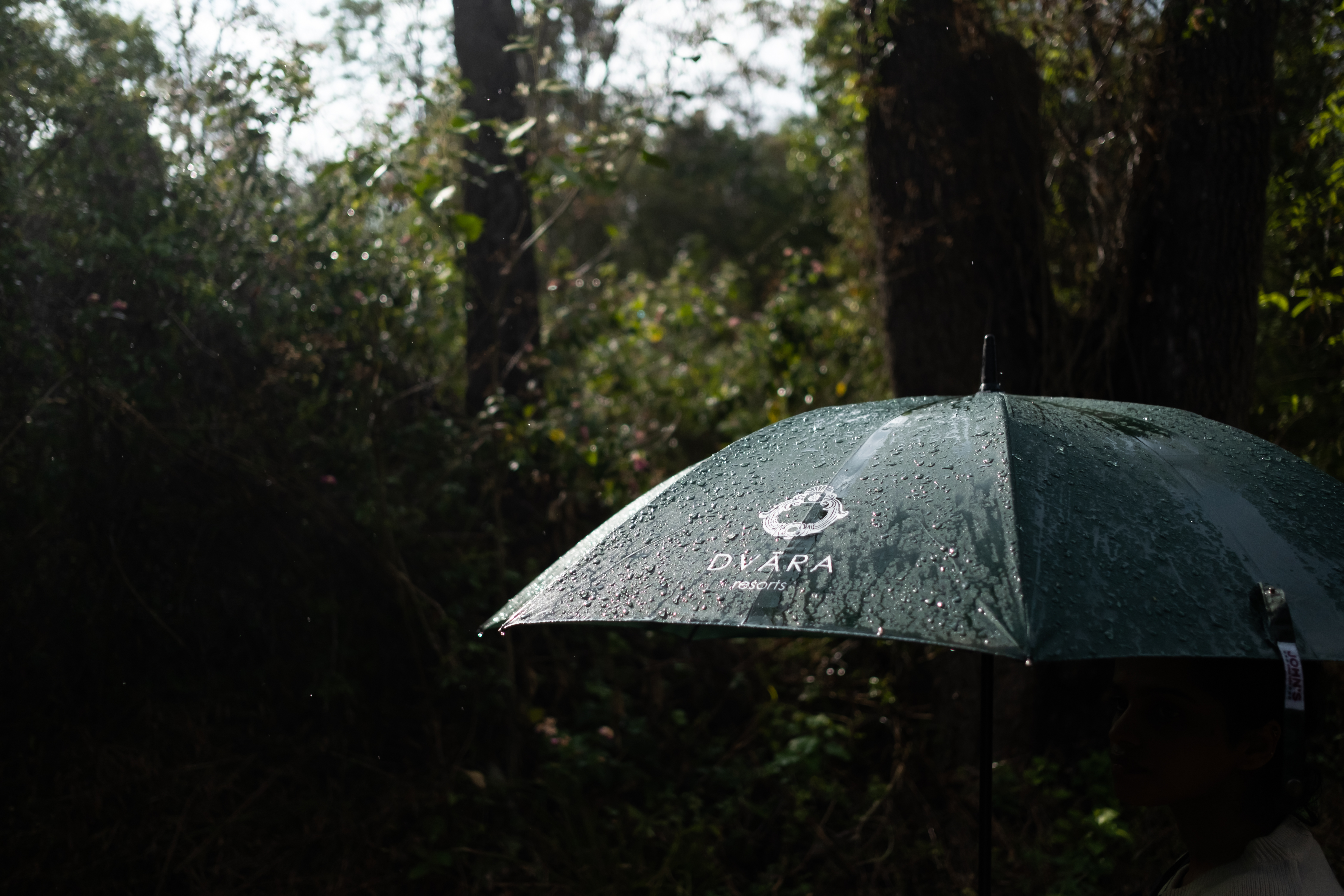 bespoke private resorts in kodaikanal