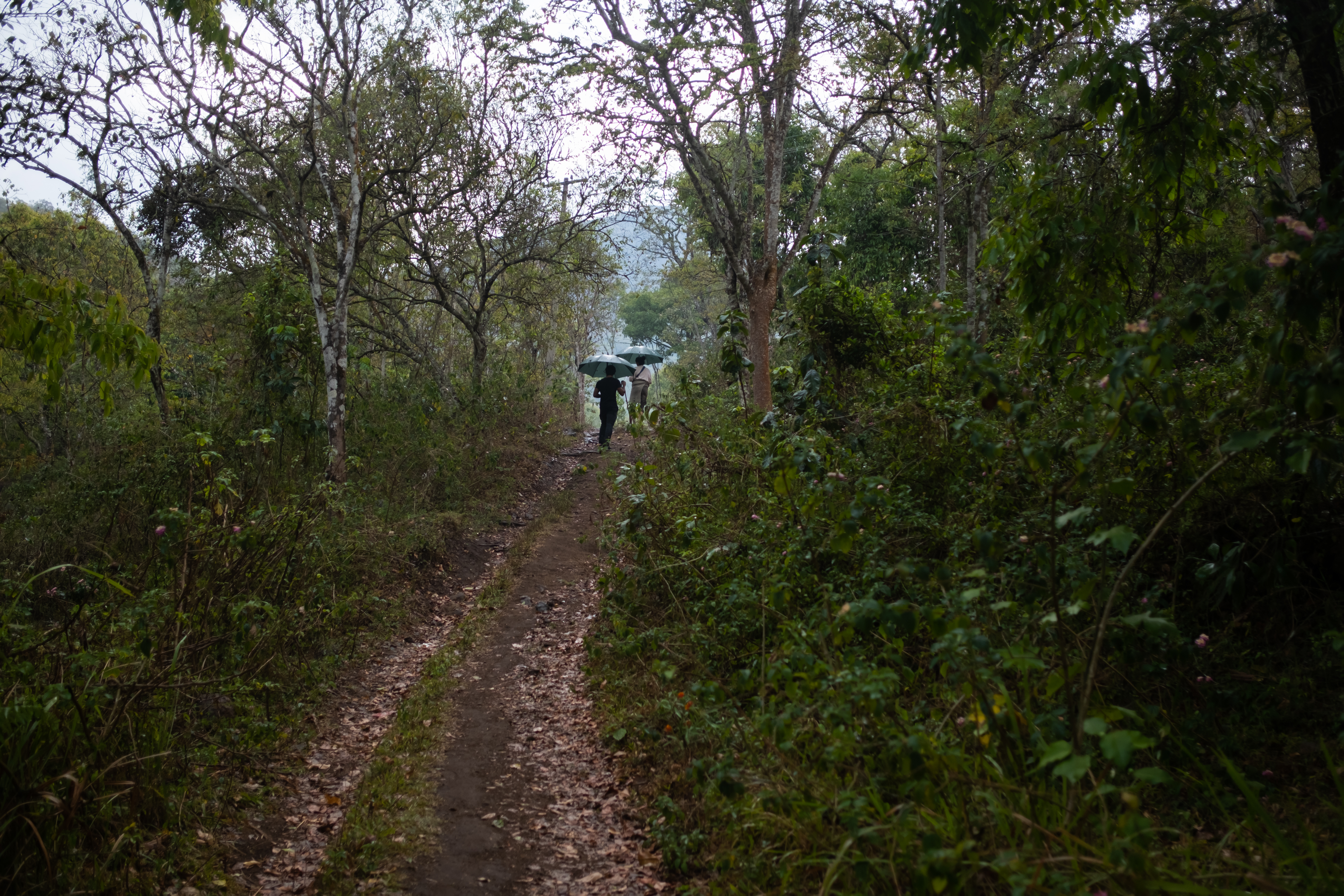 bespoke private resorts in kodaikanal